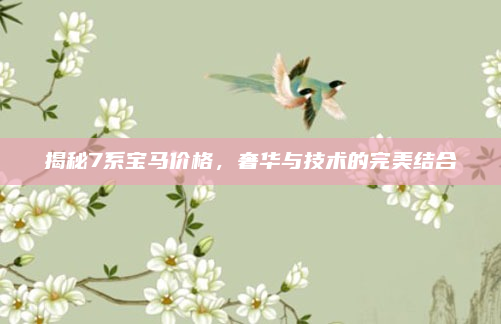 揭秘7系宝马价格,奢华与技术的完美结合