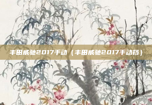 丰田威驰2017手动(丰田威驰2017手动挡)