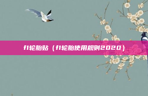 f1轮胎贴（f1轮胎使用规则2020）