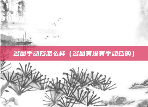 名图手动挡怎么样（名图有没有手动挡的）