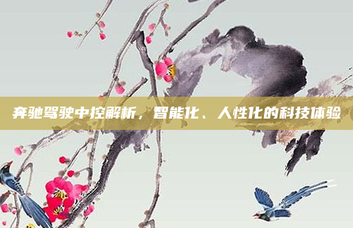 奔驰驾驶中控解析,智能化、人性化的科技体验