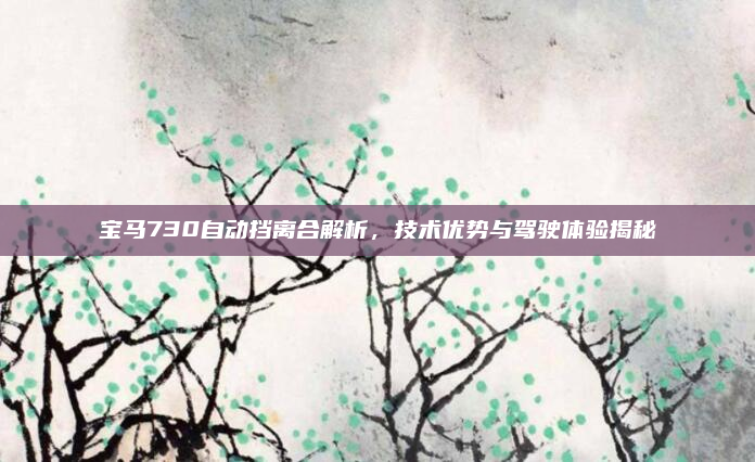 宝马730自动挡离合解析，技术优势与驾驶体验揭秘