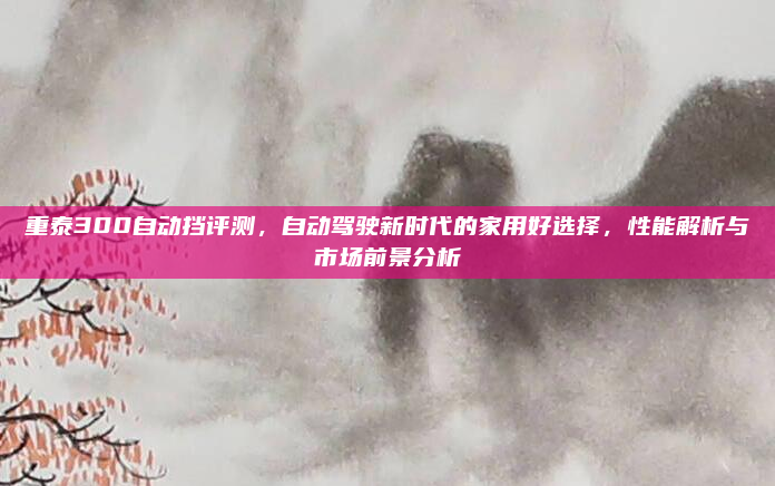 重泰300自动挡评测,自动驾驶新时代的家用好选择,性能解析与市场前景分析