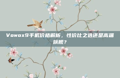Vowox9手机价格解析，性价比之选还是高端旗舰？
