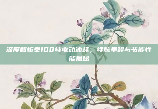 深度解析秦100纯电动油耗，续航里程与节能性能揭秘