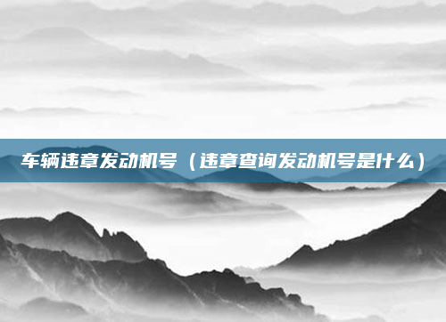 车辆违章发动机号（违章查询发动机号是什么）