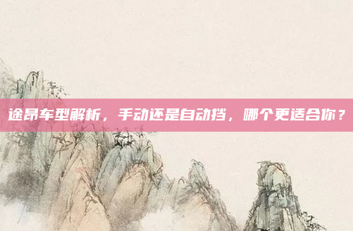 途昂车型解析,手动还是自动挡,哪个更适合你?