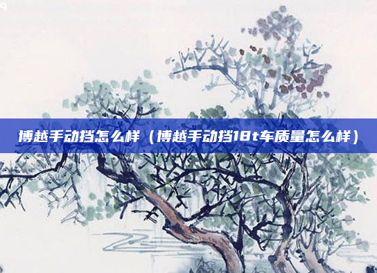 博越手动挡怎么样（博越手动挡18t车质量怎么样）