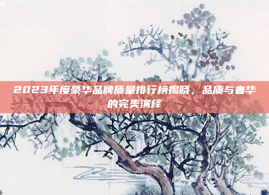 2023年度豪华品牌质量排行榜揭晓，品质与奢华的完美演绎