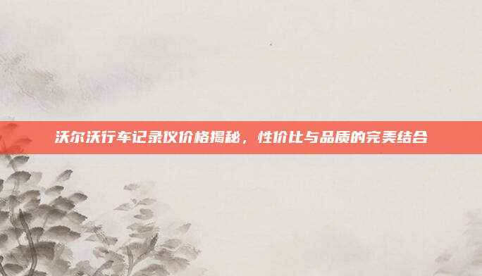 沃尔沃行车记录仪价格揭秘，性价比与品质的完美结合