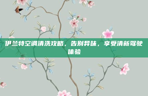 伊兰特空调清洗攻略,告别异味,享受清新驾驶体验