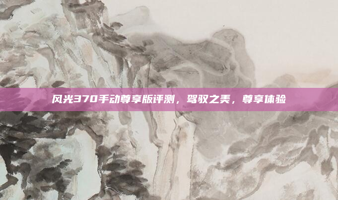 风光370手动尊享版评测，驾驭之美，尊享体验