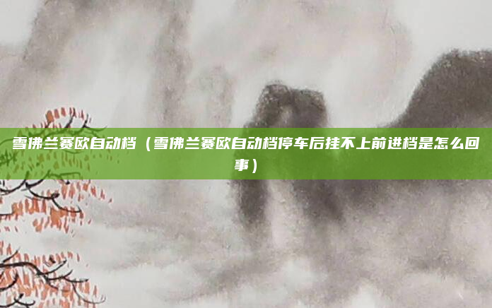 雪佛兰赛欧自动档(雪佛兰赛欧自动档停车后挂不上前进档是怎么回事)