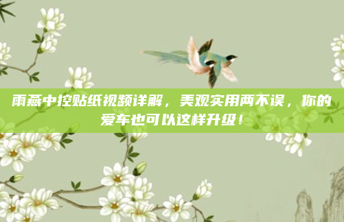 雨燕中控贴纸视频详解,美观实用两不误,你的爱车也可以这样升级!