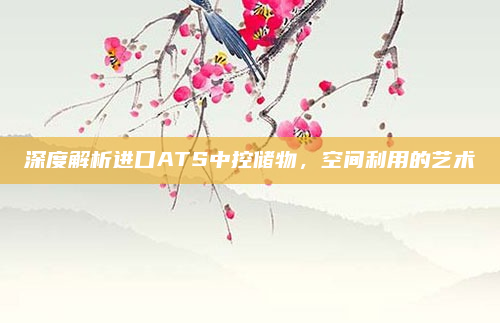 深度解析进口ATS中控储物，空间利用的艺术