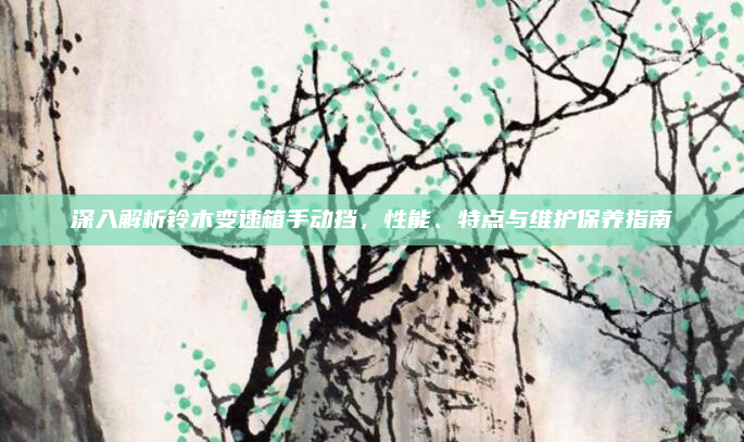 深入解析铃木变速箱手动挡，性能、特点与维护保养指南