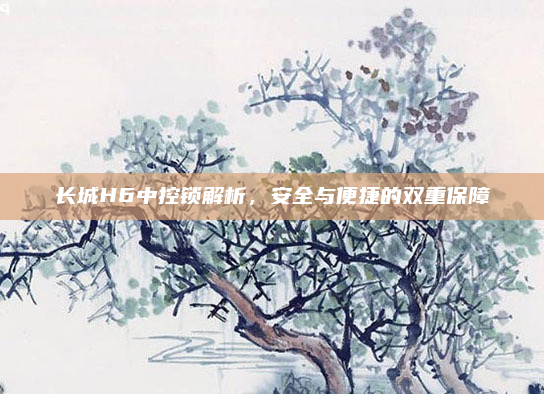 长城H6中控锁解析，安全与便捷的双重保障