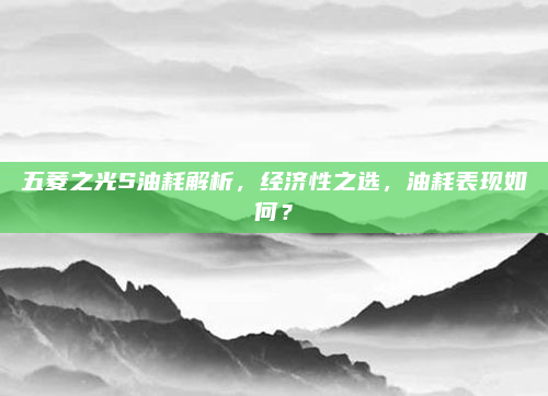 五菱之光S油耗解析,经济性之选,油耗表现如何?