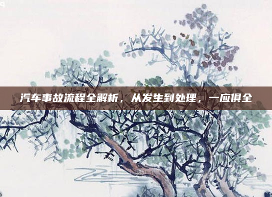 汽车事故流程全解析，从发生到处理，一应俱全