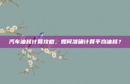 汽车油耗计算攻略,如何准确计算平均油耗?