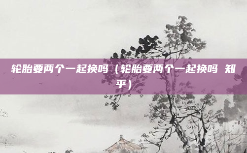 轮胎要两个一起换吗(轮胎要两个一起换吗 知乎)