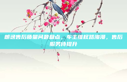 朗逸售后质量问题盘点,车主维权路漫漫,售后服务待提升
