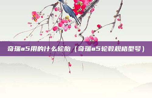 奇瑞a5用的什么轮胎(奇瑞a5轮毂规格型号)