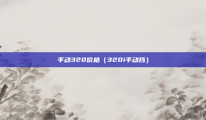 手动320价格（320i手动挡）