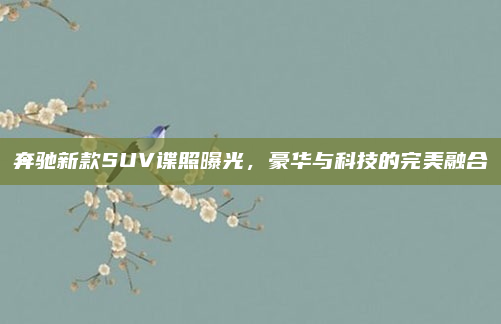 奔驰新款SUV谍照曝光，豪华与科技的完美融合