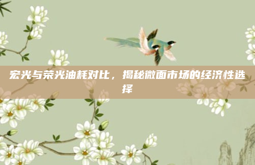 宏光与荣光油耗对比,揭秘微面市场的经济性选择