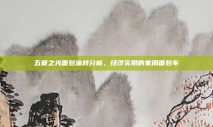 五菱之光面包油耗分析,经济实用的家用面包车