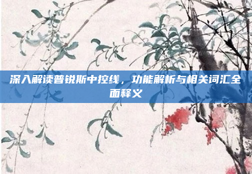 深入解读普锐斯中控线，功能解析与相关词汇全面释义