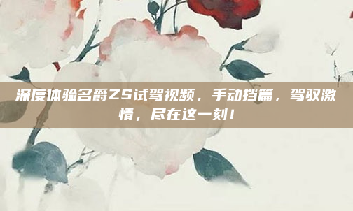 深度体验名爵ZS试驾视频,手动挡篇,驾驭激情,尽在这一刻!