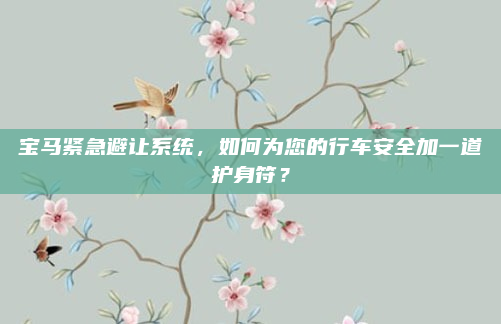 宝马紧急避让系统，如何为您的行车安全加一道护身符？
