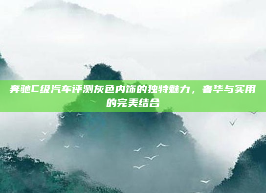 奔驰C级汽车评测灰色内饰的独特魅力,奢华与实用的完美结合