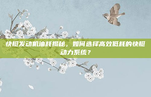 快艇发动机油耗揭秘,如何选择高效低耗的快艇动力系统?