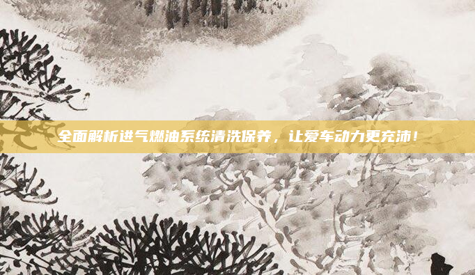 全面解析进气燃油系统清洗保养，让爱车动力更充沛！