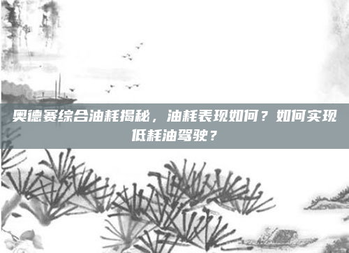 奥德赛综合油耗揭秘,油耗表现如何?如何实现低耗油驾驶?