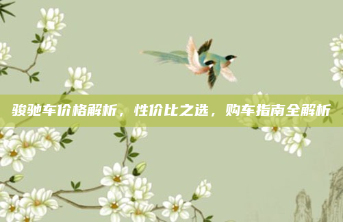 骏驰车价格解析,性价比之选,购车指南全解析