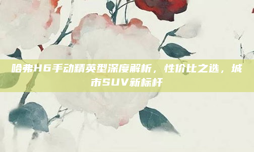 哈弗H6手动精英型深度解析,性价比之选,城市SUV新标杆
