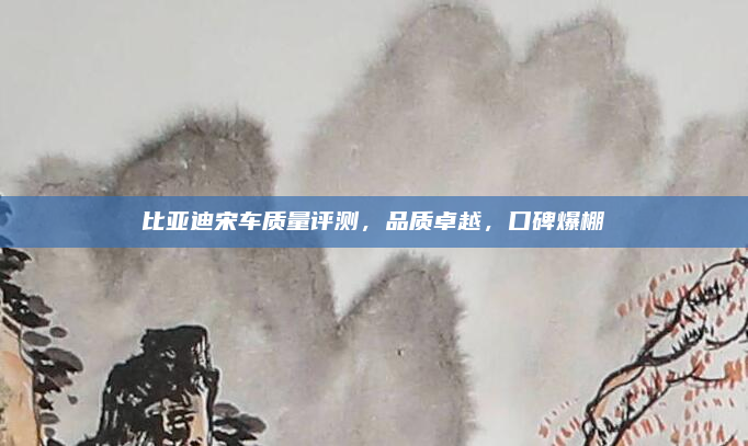 比亚迪宋车质量评测,品质卓越,口碑爆棚