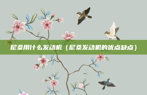 尼桑用什么发动机（尼桑发动机的优点缺点）