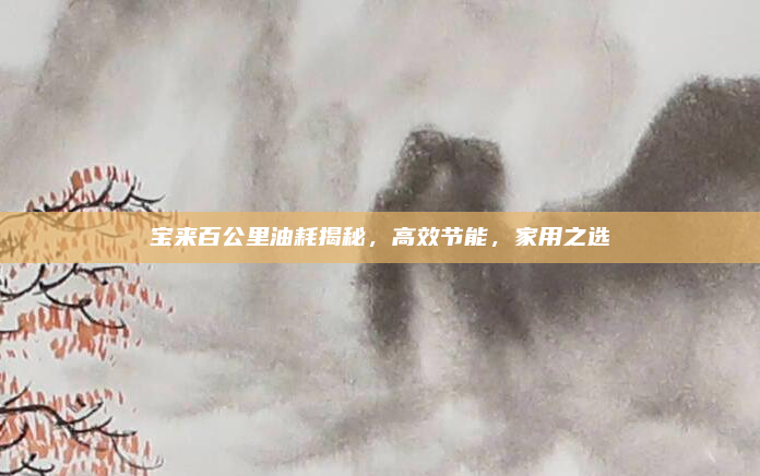 宝来百公里油耗揭秘，高效节能，家用之选
