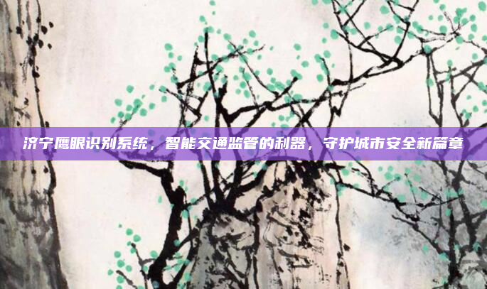 济宁鹰眼识别系统,智能交通监管的利器,守护城市安全新篇章