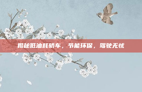 揭秘低油耗轿车，节能环保，驾驶无忧