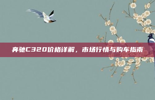 奔驰C320价格详解,市场行情与购车指南
