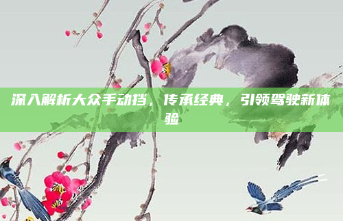 深入解析大众手动挡,传承经典,引领驾驶新体验