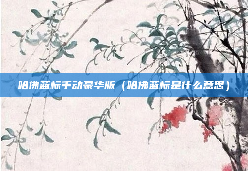 哈佛蓝标手动豪华版（哈佛蓝标是什么意思）