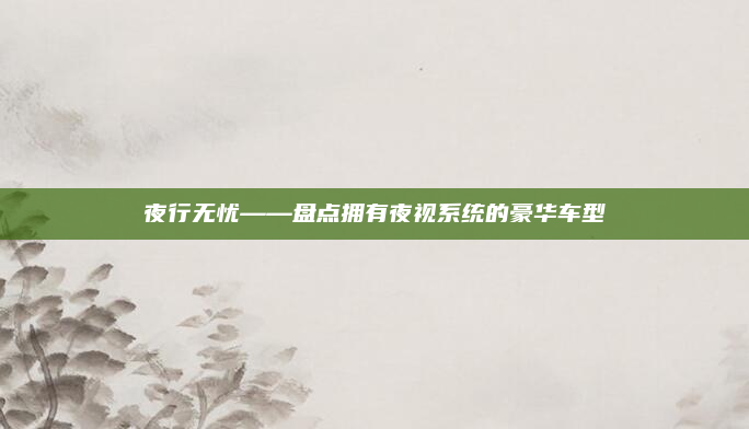 夜行无忧——盘点拥有夜视系统的豪华车型