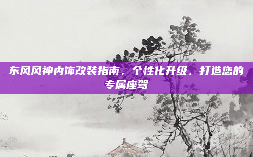 东风风神内饰改装指南，个性化升级，打造您的专属座驾